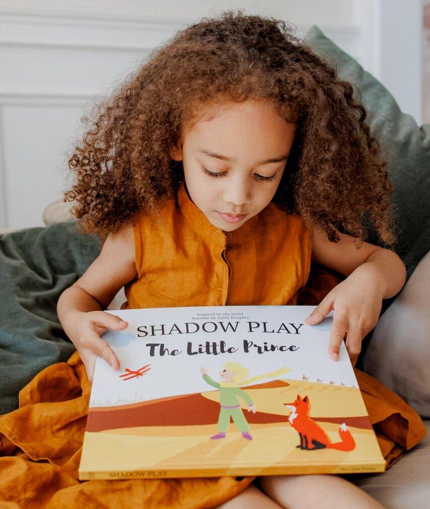 SHAPLABOO | The Little Prince