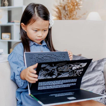 SHAPLABOO | Cinderella